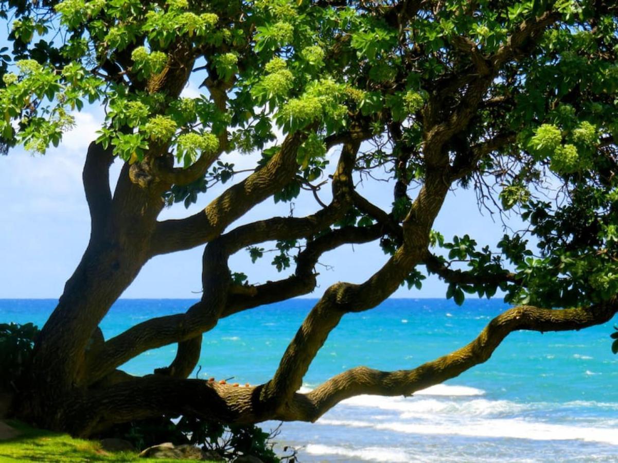 Hébergement de vacances Fantastic Location On The Golf Course Near The